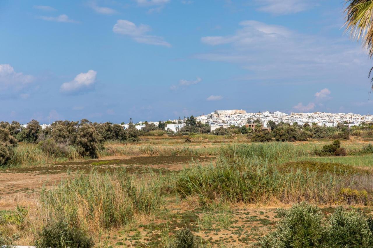 Surfer Paradise Naxos City Buitenkant foto
