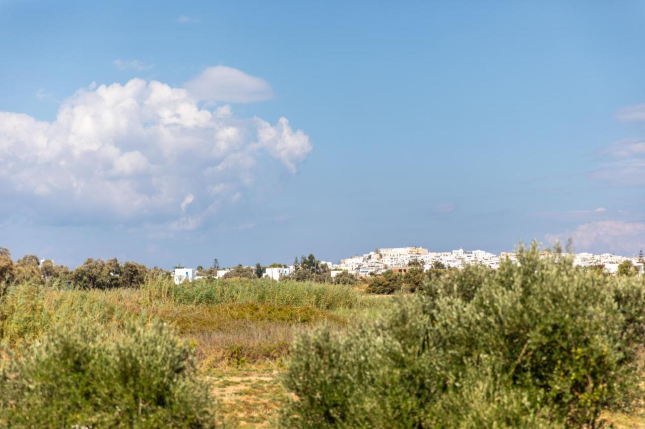 Surfer Paradise Naxos City Buitenkant foto